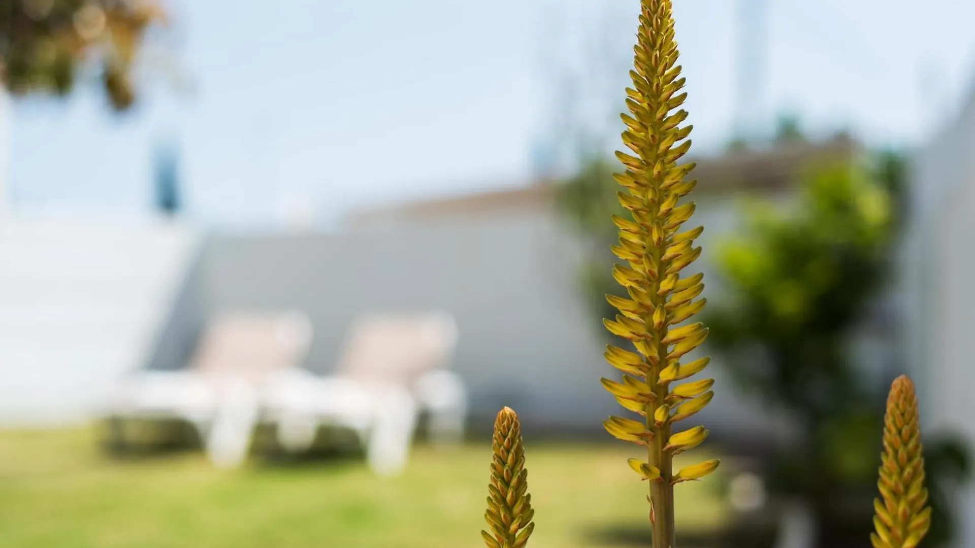 House-Style Apartament With Private Garden Next To Torremolinos Beaches Málaga 0*,  Spanien